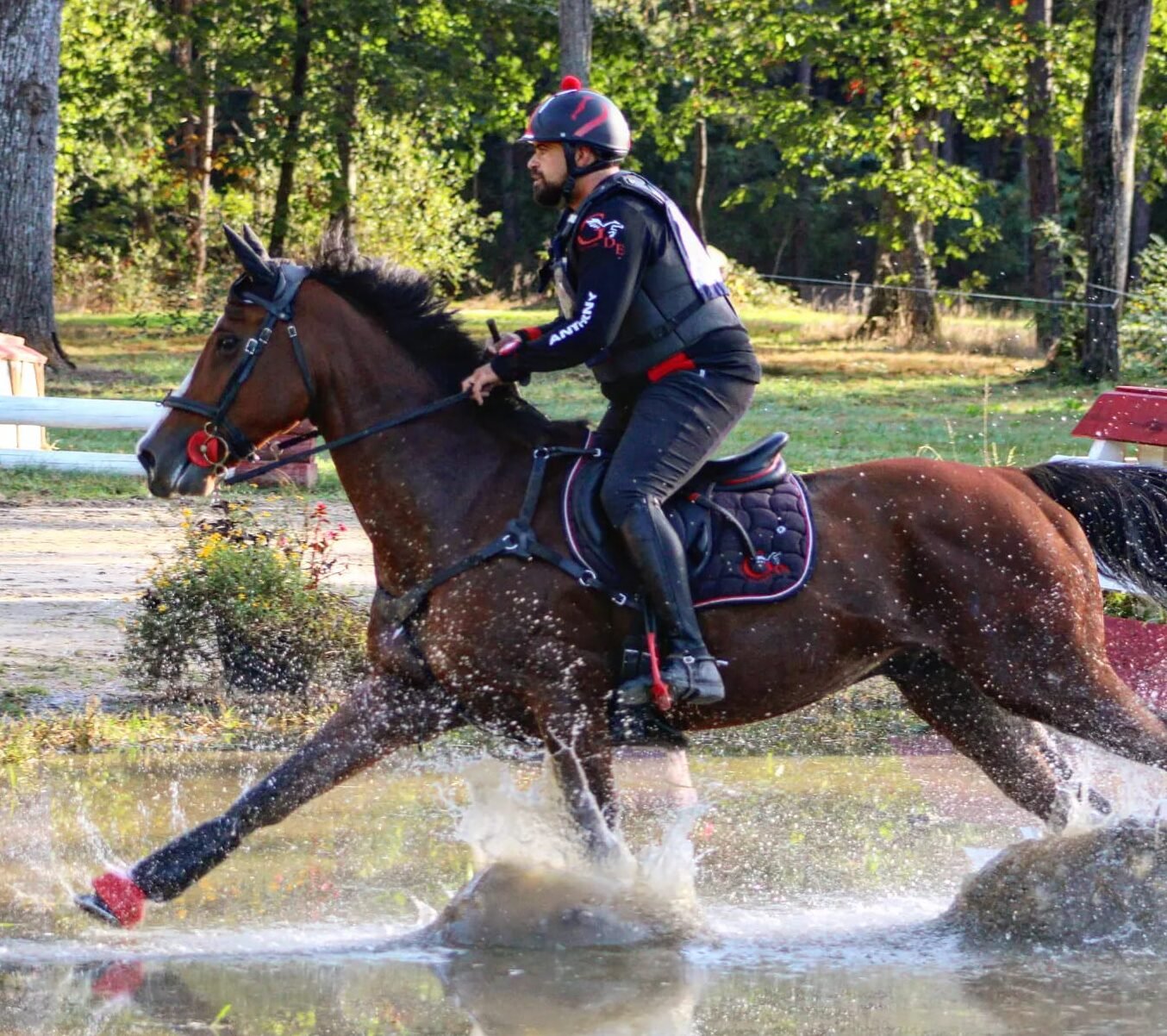 CCE équitation Calvados