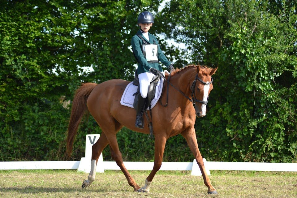 Dressage Club Normandie