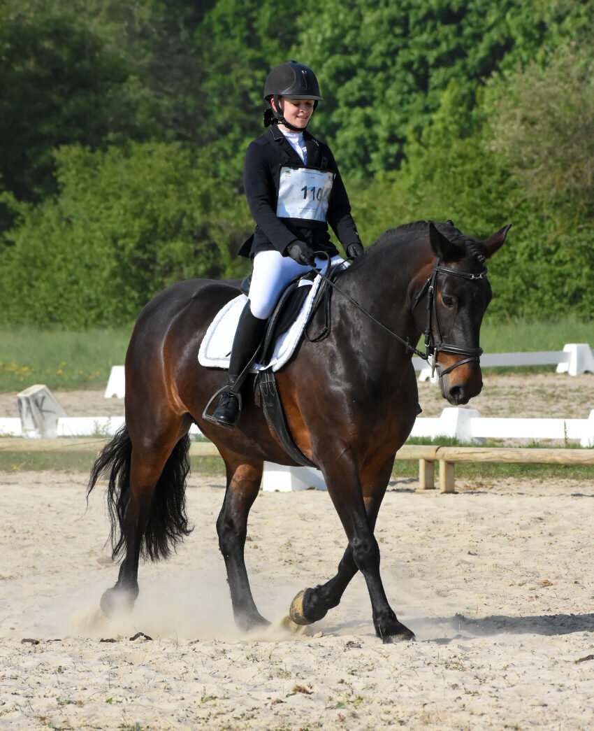 Cours d'équitation, compétition, Villers-Bocage, Bayeux, Caen