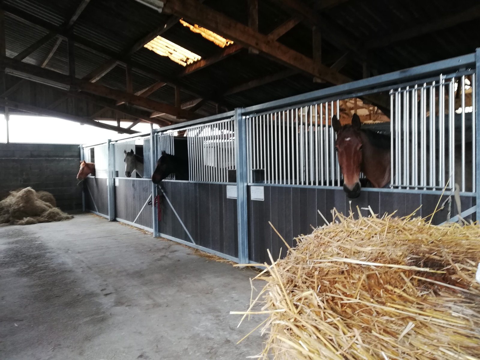 pension box Caen, Bayeux, Villers-Bocage